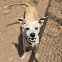 Thumbnail photo of Fran #1