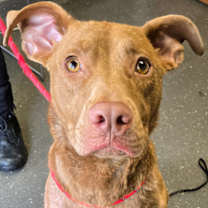 Thumbnail photo of Kane #2