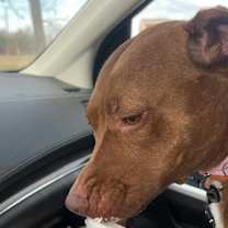 Thumbnail photo of Giselle #3