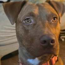 Thumbnail photo of Giselle #4