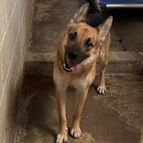 Thumbnail photo of Friday #1