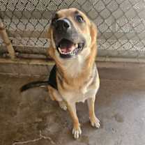 Thumbnail photo of Friday #2