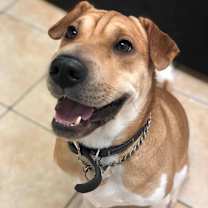 Thumbnail photo of Alfie Moon #1