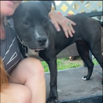 Thumbnail photo of Chanel #3