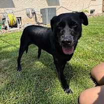 Thumbnail photo of Georgia #1