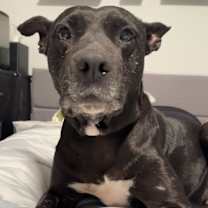 Thumbnail photo of Maya #2