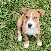 Thumbnail photo of Thelma #2