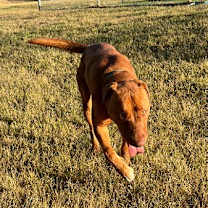 Thumbnail photo of Russell Shelley #2