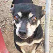 Thumbnail photo of SARGE #4