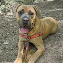 Thumbnail photo of Queen #4