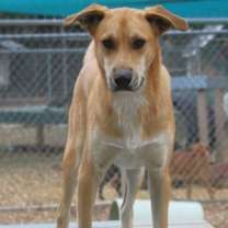 Thumbnail photo of Fisher 25 #3