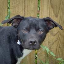 Thumbnail photo of Stan #1