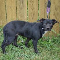 Thumbnail photo of Stan #2