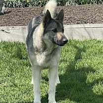 Thumbnail photo of Lucy #1