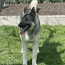 Thumbnail photo of Lucy #3