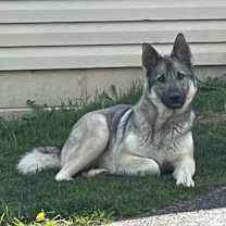 Thumbnail photo of Lucy #2