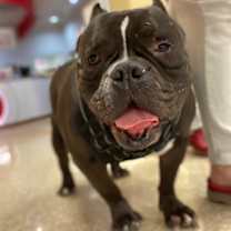 Thumbnail photo of Meatball #1