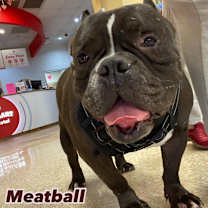 Thumbnail photo of Meatball #2