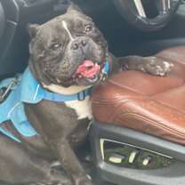 Thumbnail photo of Meatball #3