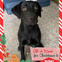 Thumbnail photo of Darby #1