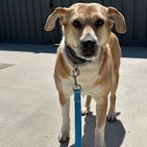 Thumbnail photo of Harper #2