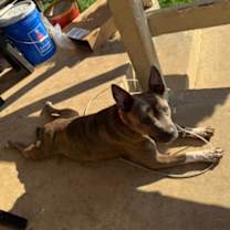 Thumbnail photo of Venus #4