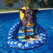 Thumbnail photo of Bingo #4