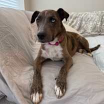 Thumbnail photo of Diamond #3