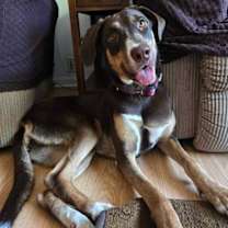 Thumbnail photo of Asher #4