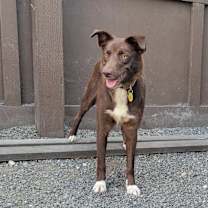 Thumbnail photo of Ruby #3