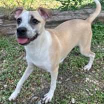 Thumbnail photo of Sheila #2