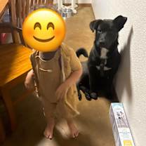 Thumbnail photo of Puppy Love #3