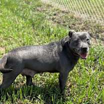 Thumbnail photo of Joy #1