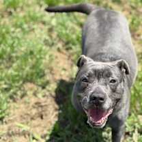 Thumbnail photo of Joy #3