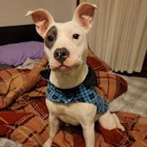 Thumbnail photo of Delilah #1