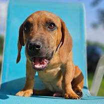 Thumbnail photo of Danny Boy #3