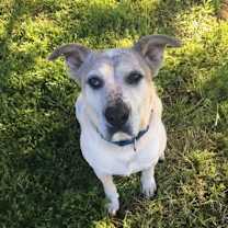 Thumbnail photo of Jumbo #2