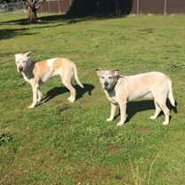 Thumbnail photo of Jumbo #4