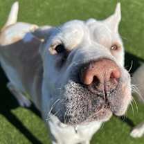 Thumbnail photo of Natasha #1