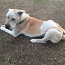 Thumbnail photo of Natasha #3