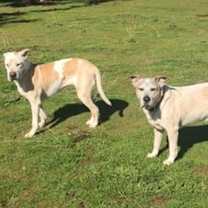 Thumbnail photo of Natasha #4