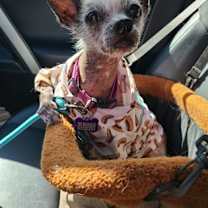 Thumbnail photo of Tildy #1