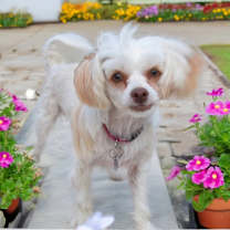 Thumbnail photo of Josie Quinn #1