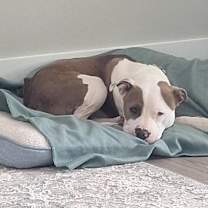 Thumbnail photo of Rucker #4