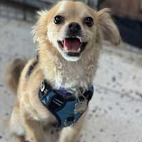 Thumbnail photo of Rico Suave #3