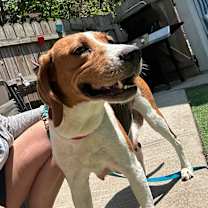 Thumbnail photo of Delilah #2