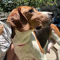 Thumbnail photo of Delilah #4