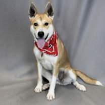 Thumbnail photo of Lucy #4