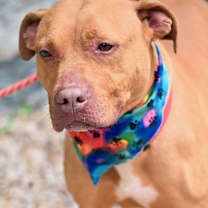 Thumbnail photo of Betty #2