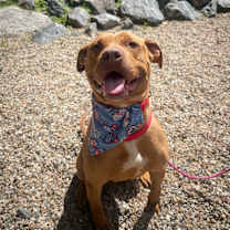 Thumbnail photo of Betty #3